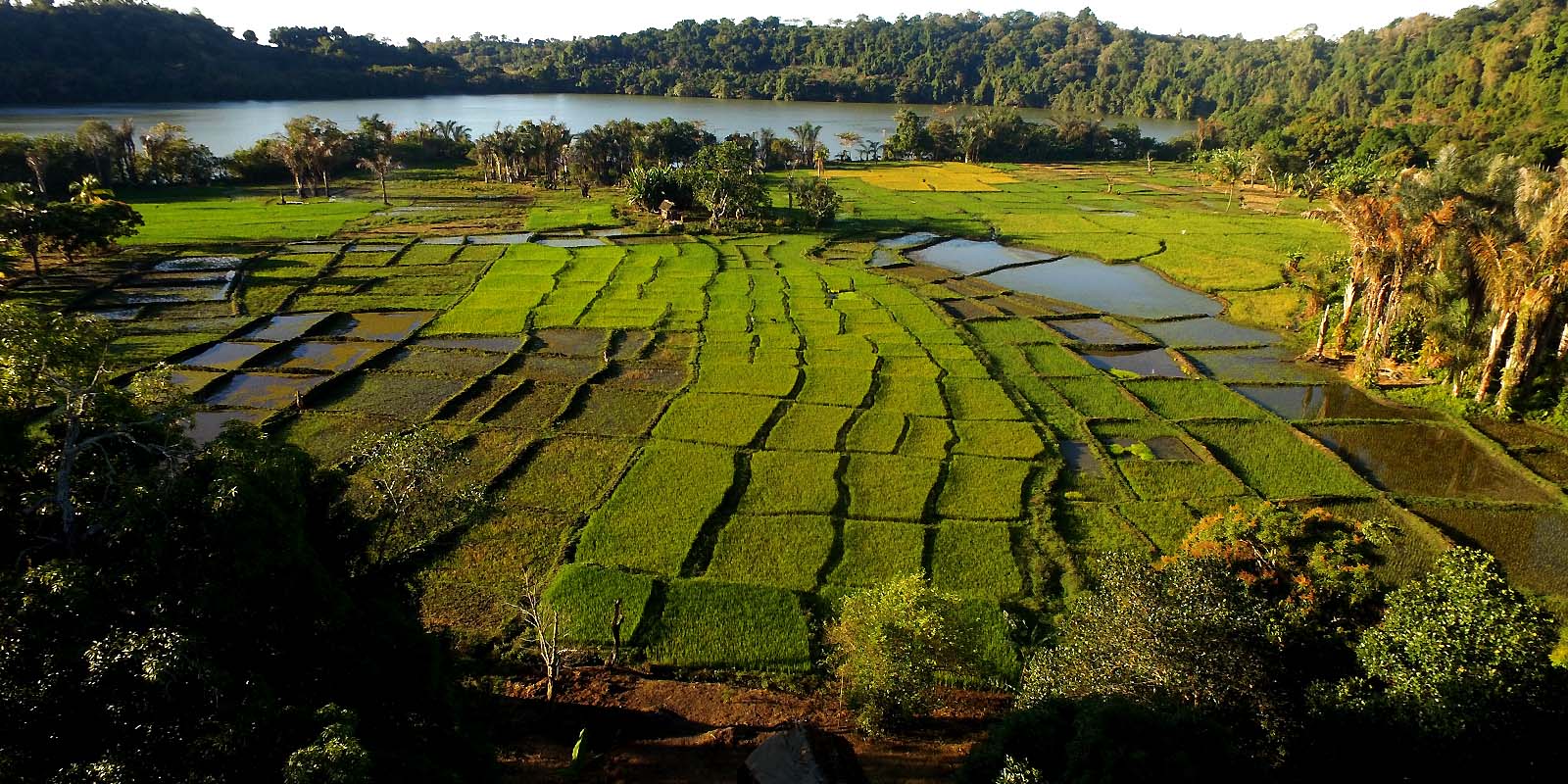 Un écolodge au milieu de la nature de Nosy Be